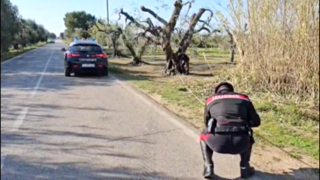 Due ragazzi e due ragazze minorenni sono morti sul colpo dopo lo schianto dell’auto contro un albero. Tornavano da una festa di compleanno