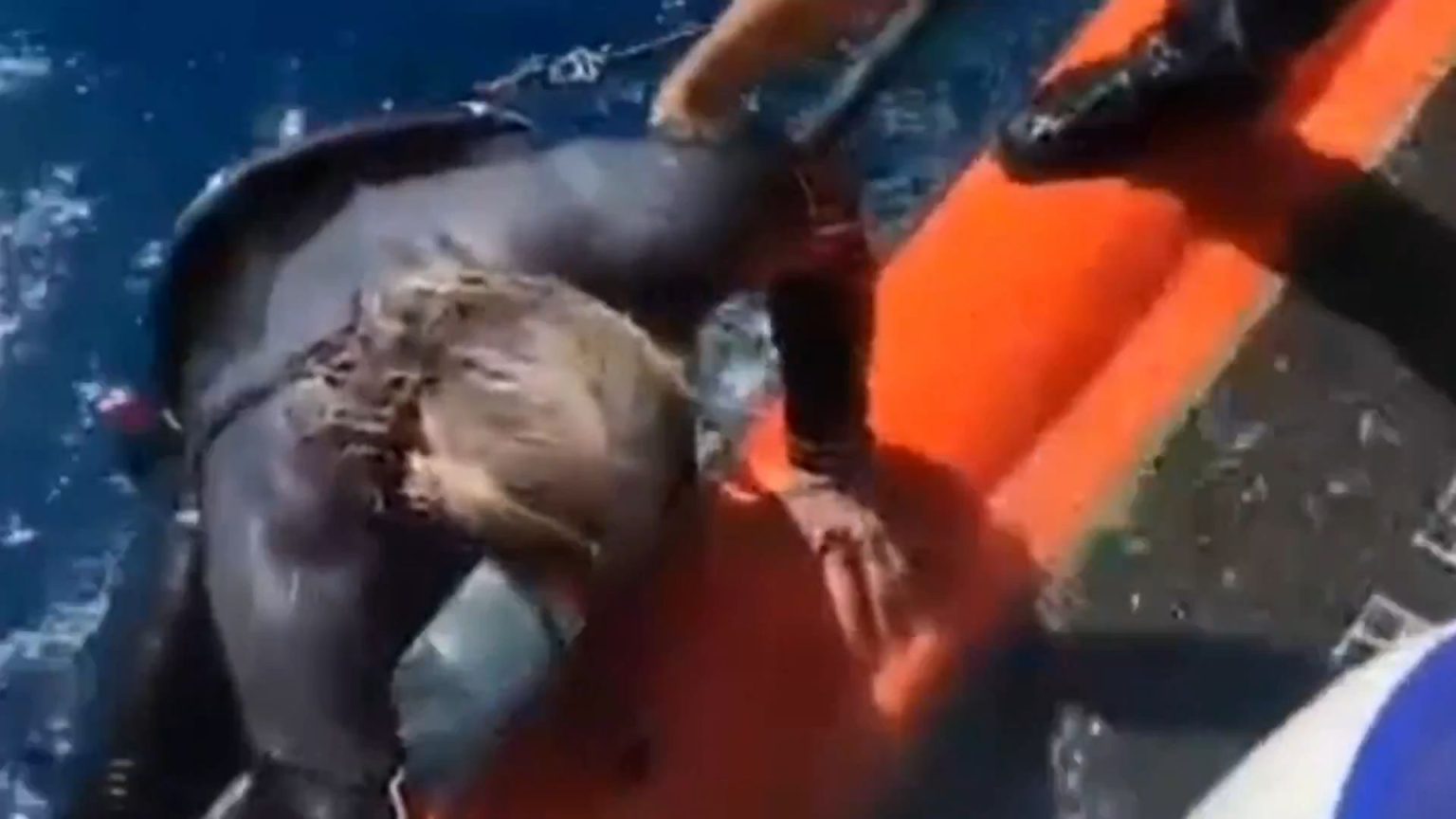 Puglia, surfista disperso in mare salvato dalla Guardia Costiera: era finito a 5 miglia dalla riva